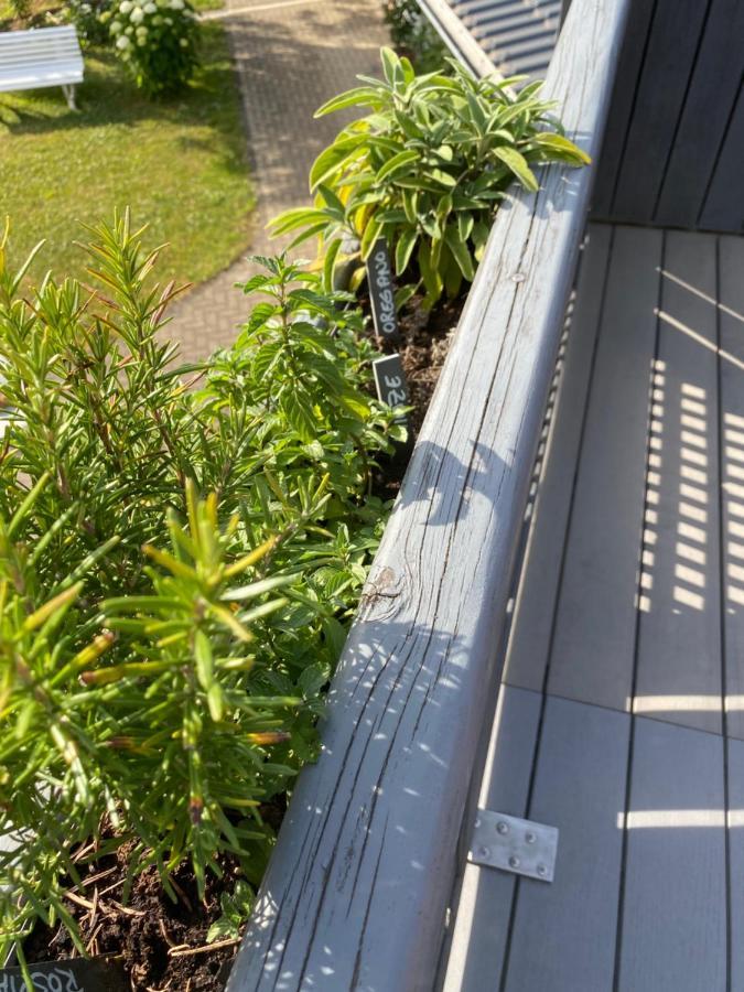 Ferienwohnung Auszeit Bockelnhagen Ngoại thất bức ảnh
